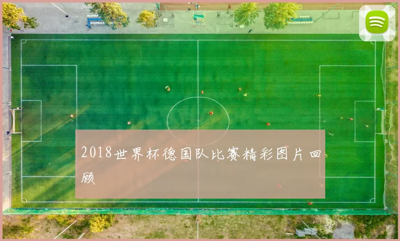 2018世界杯德国队比赛精彩图片回顾