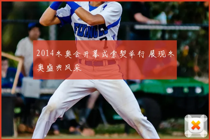 2014冬奥会开幕式索契举行 展现冬奥盛典风采