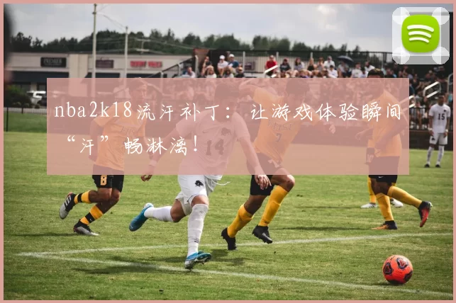nba2k18流汗补丁:让游戏体验瞬间“汗”畅淋漓!
