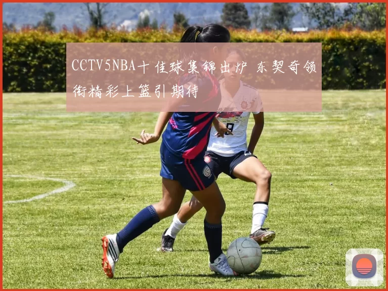 CCTV5NBA十佳球集锦出炉 东契奇领衔精彩上篮引期待